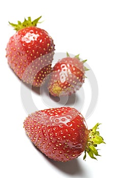 Three fresh ripe red strawberries, isolated on white with soft shadow.