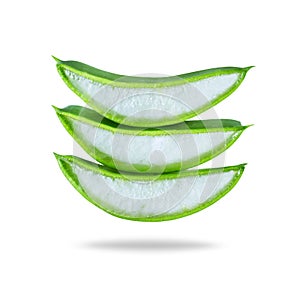 Three fresh sliced aloe vera pieces close-up isolated on white background