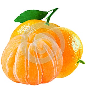 Three fresh whole mandarin isolated on white background