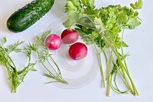 Three fruits of red radish and a branch of parsley with a cucumber on the table