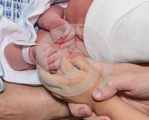 Three generations of hand with baby, sister, father and grandmother