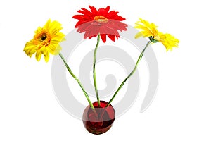 Three gerbera in the vase