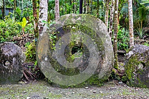 Three giant prehistoric megalithic stone coins or money Rai, under trees overgrown in jungle. Micronesia, Oceania.