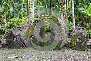 Three giant prehistoric megalithic stone coins or money Rai, under trees overgrown in jungle. Yap island, Micronesia, Oceania.