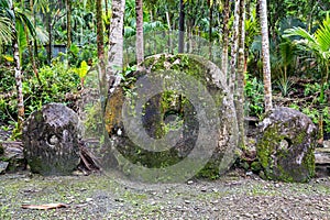 Three giant prehistoric megalithic stone coins or money Rai, under trees overgrown in jungle. Yap island, Micronesia, Oceania. photo
