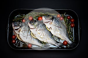 Three gilthead bream fish in oven
