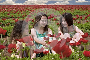 Three girls in a red field