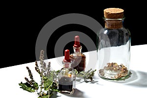 Three glass bottles with herbal extracts and patchouli branch
