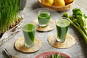 Three glasses of homemade barley grass juice with freshly grown barley grass