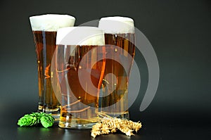 Three glasses of light beer with foam, hops and malt on a black background