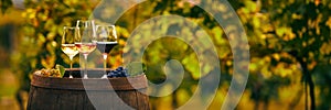 Three glasses of white, rose and red wine on a wooden barrel