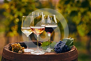 Three glasses of white, rosÃ© and red wine and an old wooden barrel