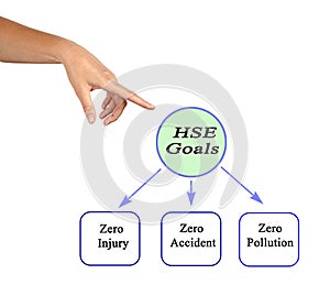 Goals of HSE Program