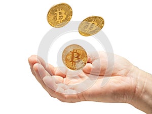 Three golden bitcoins in the air and open hand, white background. Holding wealth concept. Investing money into virtual currency