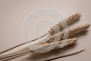 Three golden ears of wheat as a charm in Ukrainian culture