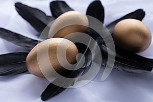 Three golden Easter eggs laying on a bunch of black feathers
