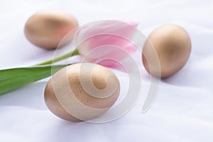 Three golden Easter eggs and pink tulip laying on white