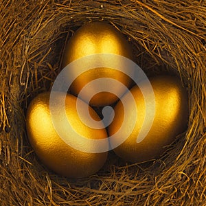 THREE GOLDEN EGGS IN BIRDS NEST