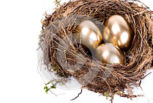Three golden eggs in the nest