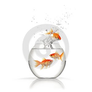 Three goldfish jumping out of the water