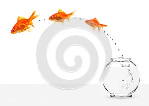 Three goldfishes escaping from fishbowl