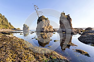 Three Graces at Garibaldi Oregon Coast photo