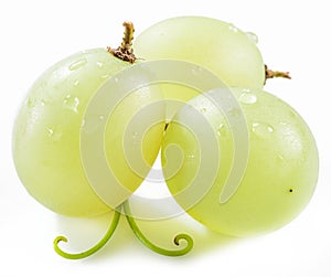 Three grapes.Macro.