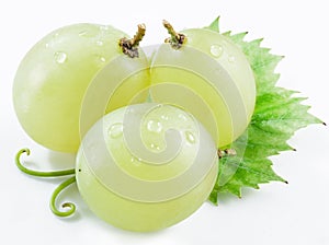 Three grapes with small leaf.