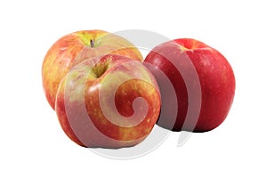 Three gravenstein apples