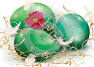 Three green easter bird eggs