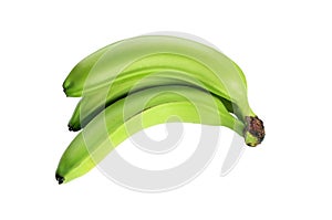 Three green bananas isolated on the white background. no shade
