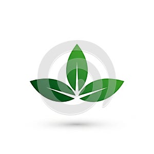 Background is plain white emphasizing the clean and minimalis