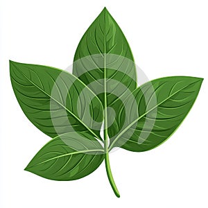 Three Green Leaves Composition Vector Illustration, Nature, Botany, leaf vector, greenery