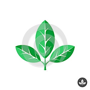 Three green leaves flat vector logo template