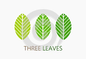 Three green leaves icons, symbols or logo