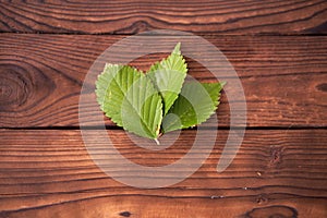 Three green leaves lie on brown wooden background