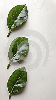 Three Green Leaves on White Surface. Generative AI