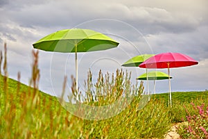 Three green and one purple sunny umbrellas on green grass against a cloudy sky. Umbrellas among the hills. Weather