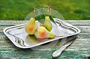 Three green pears with leaves on gray vintage dish with silver knife on wooden green brown aged texture background close up