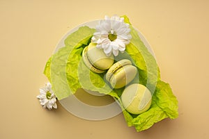 Three green pistachio macaroons cakes in a gift box with green w