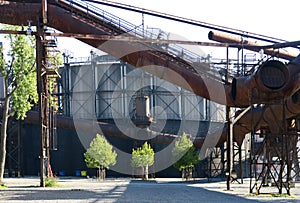 Three green trees in contrast of old industrial area of Dolni oblast Vitkovice in Ostrava