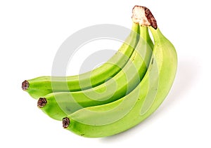 Three green unripe bananas on white background