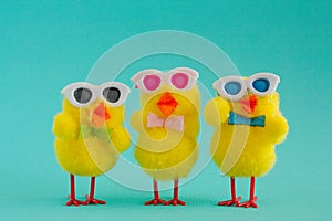 Three Groovy Chicks wearing sunglasses on a Aqua Background.