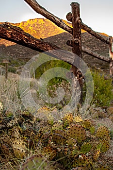 Three Guns Spring desert trail near Albuquerque, New Mexico