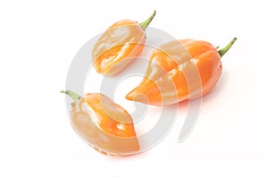 Three habanero orange chili pepper isolated on white background