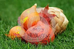 Three Halloween pumpkins on green grass