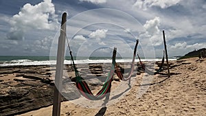 Three hammocks moving in the wind on the seashore