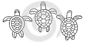 Three hand-drawn sea turtles coloring book page vector illustration