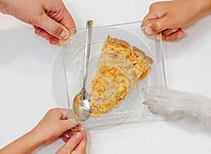 Three hands and dog paw pulling plate with last piece of Thanksgiving pie on plate. Family can not divide leftover cake