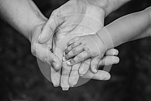 Three hands of the same family - father, mother and baby stay together. Close-up.